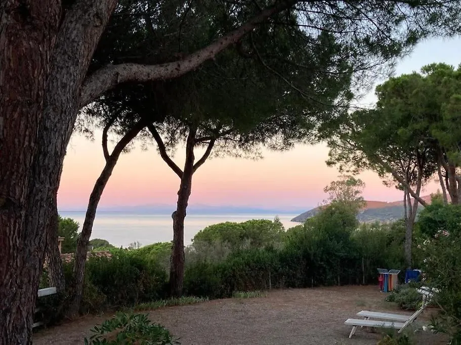 Villa Barabarca Capoliveri  Casa vacanze Capoliveri (Isola d'Elba)